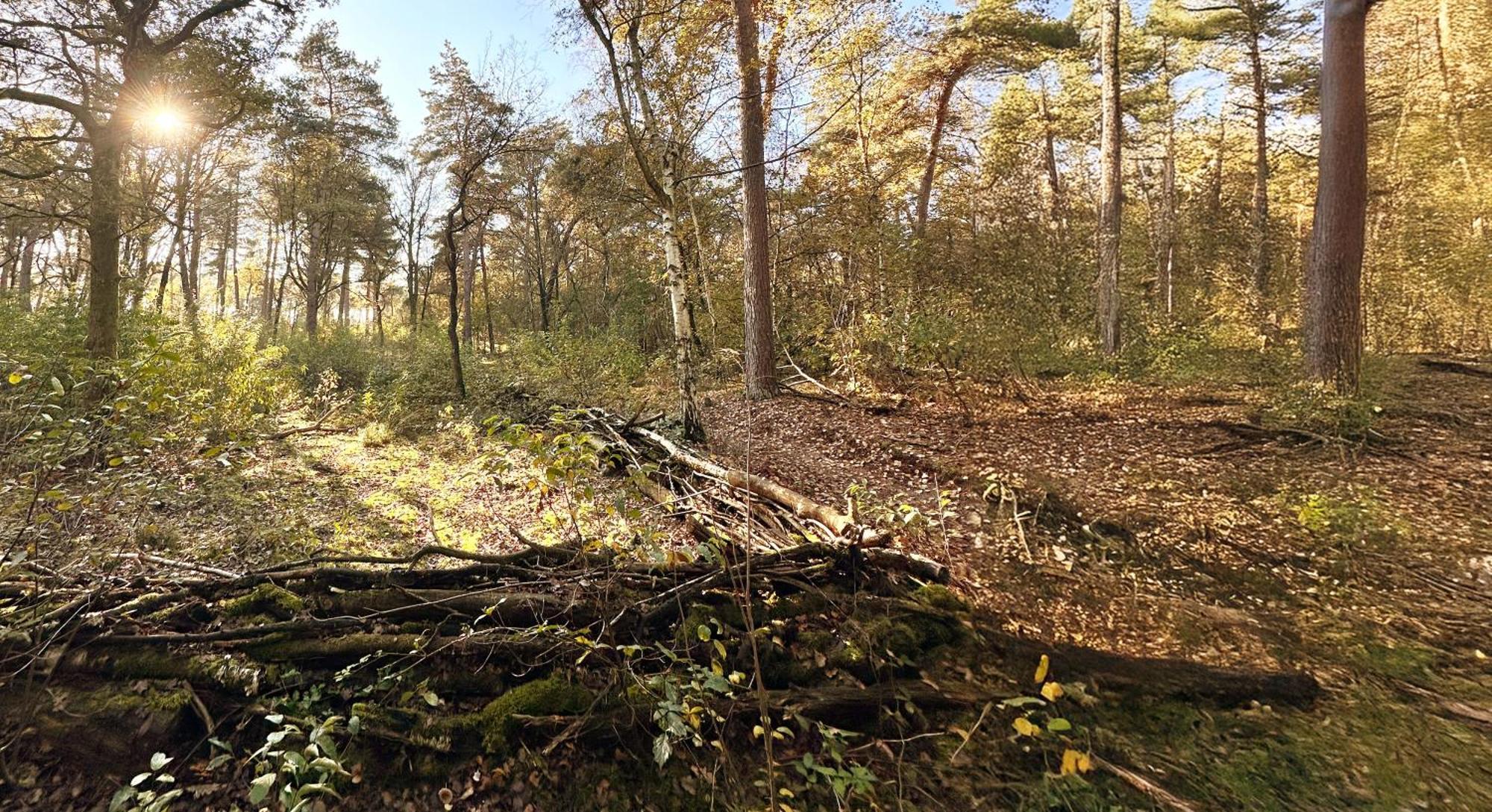 Wellness Tuin - Ultieme Partner Beleving - St Hubertus Suite Met Jacuzzi ,Openhaard, Prive Hottub En Prive Sauna In Jachthut Stijl Horst Exterior foto